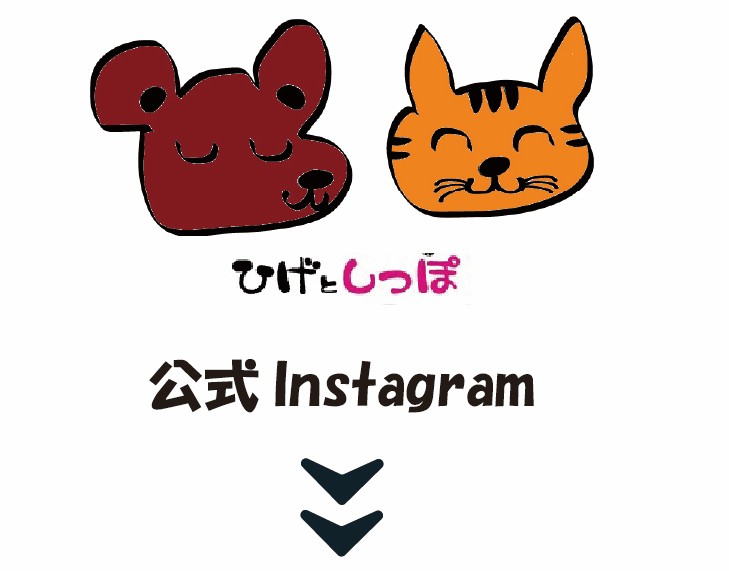 ひげとしっぽ 活動写真